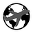 TNETAndrew